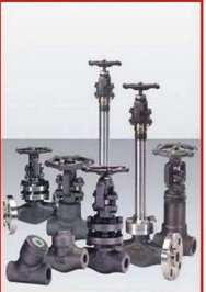 Forged Steel Valves
